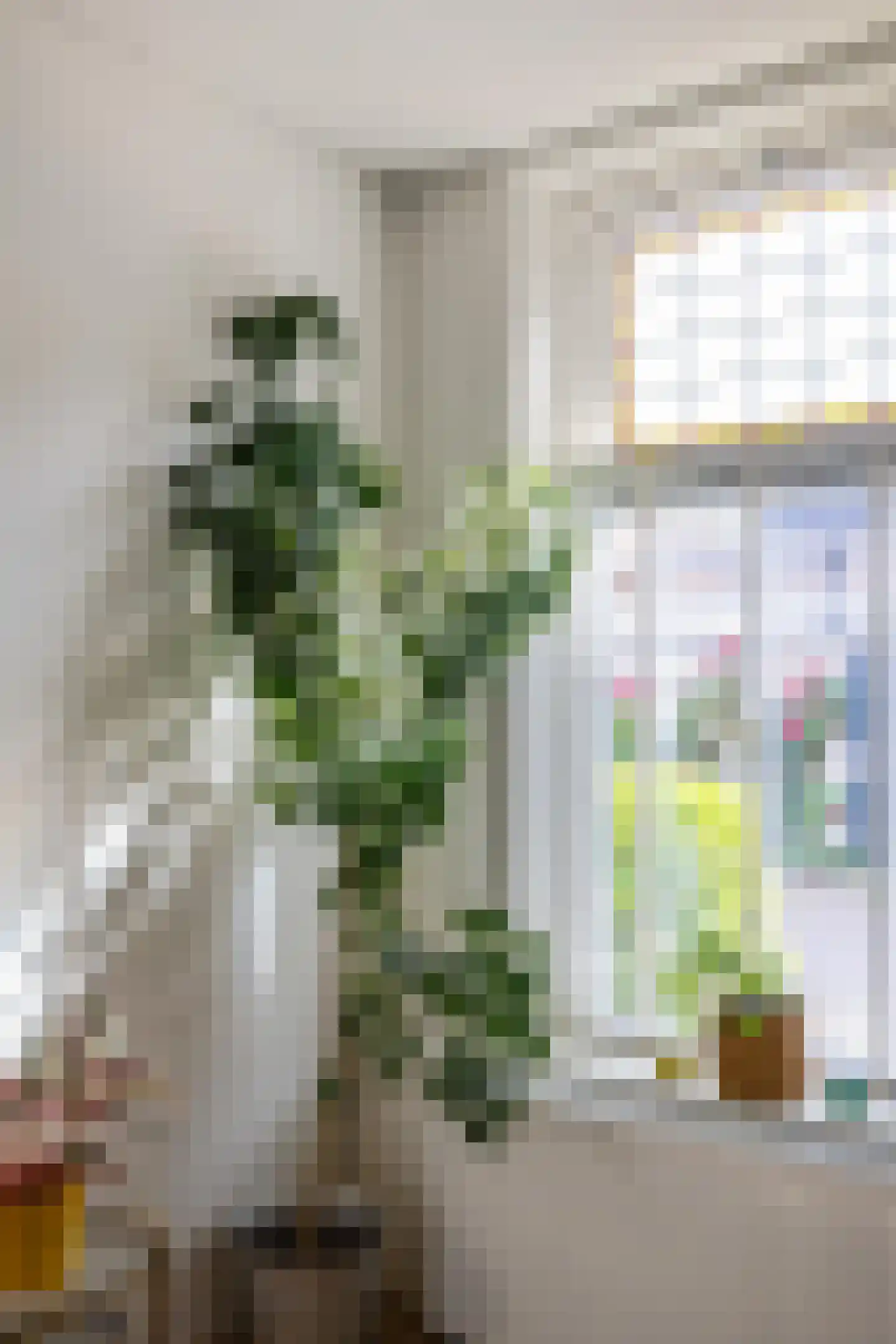 Selwerderstraat 6 Groningen thumbnail 13