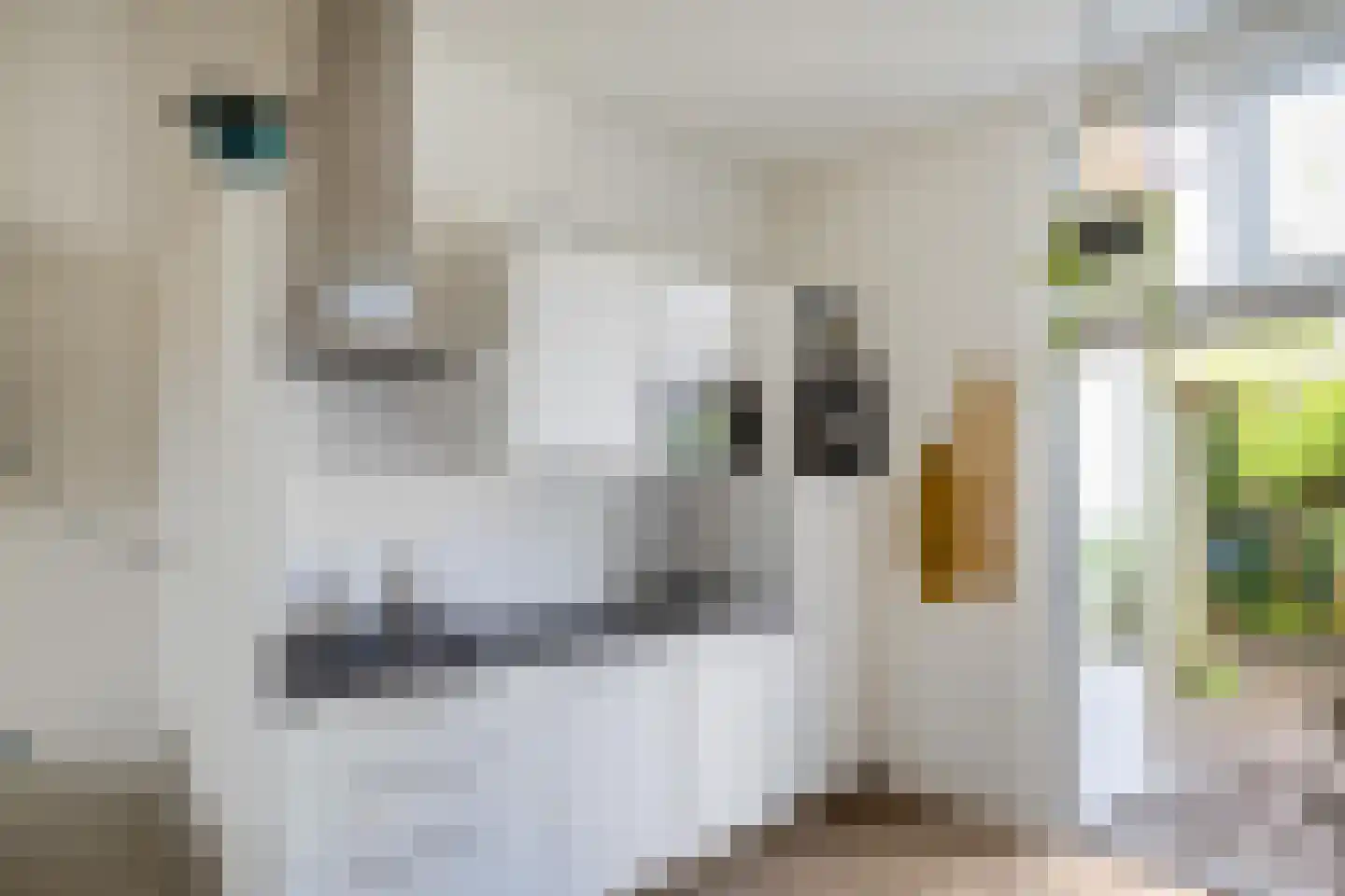 Selwerderstraat 6 Groningen thumbnail 15