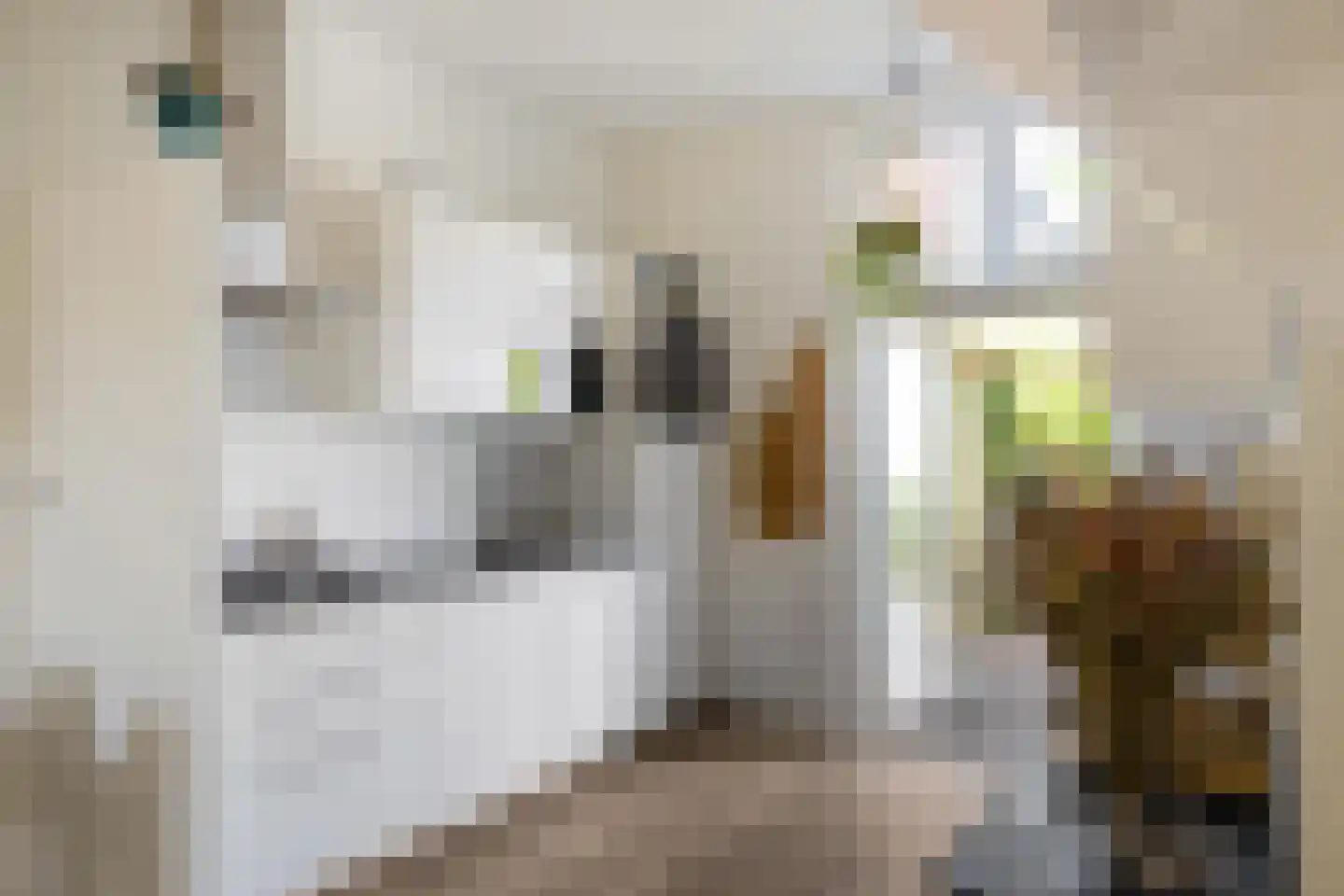 Selwerderstraat 6 Groningen thumbnail 19