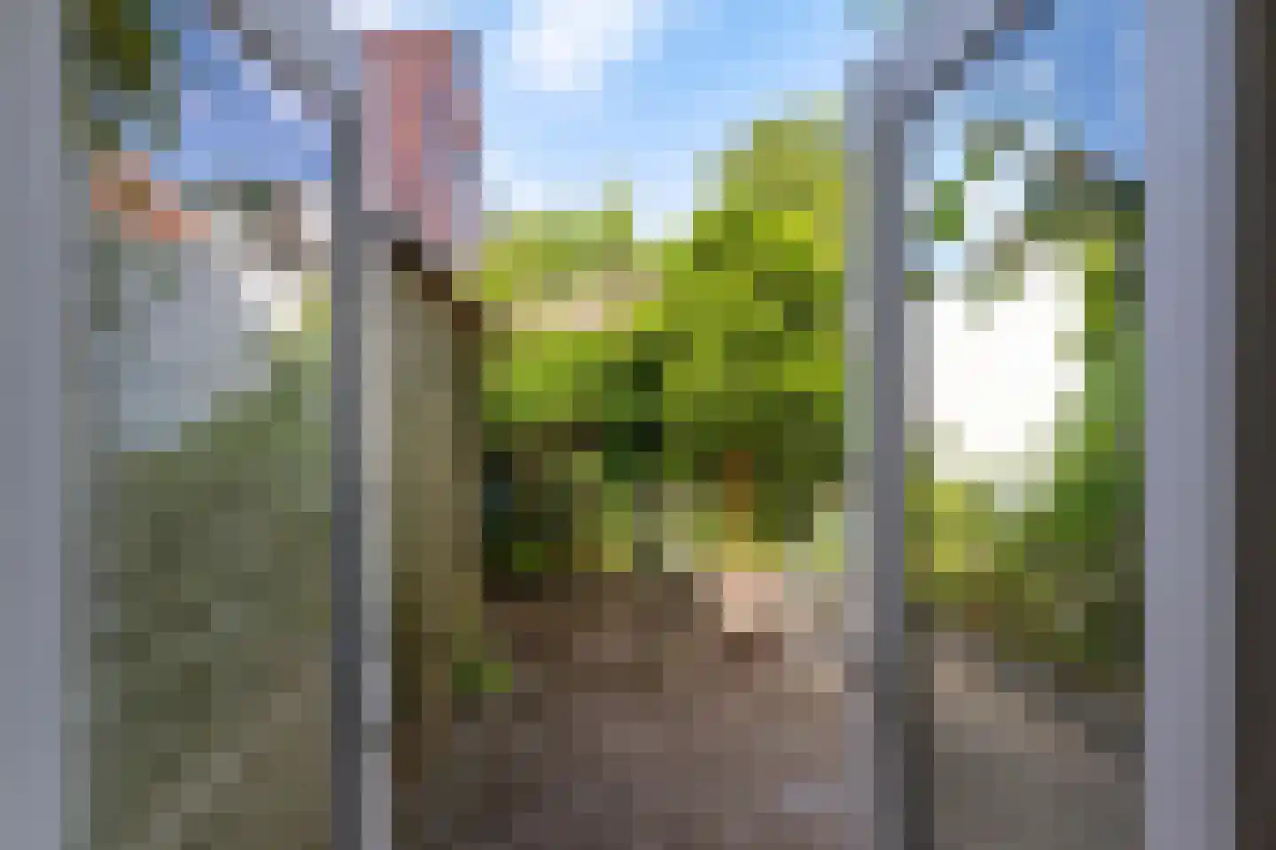 Selwerderstraat 6 Groningen thumbnail 20