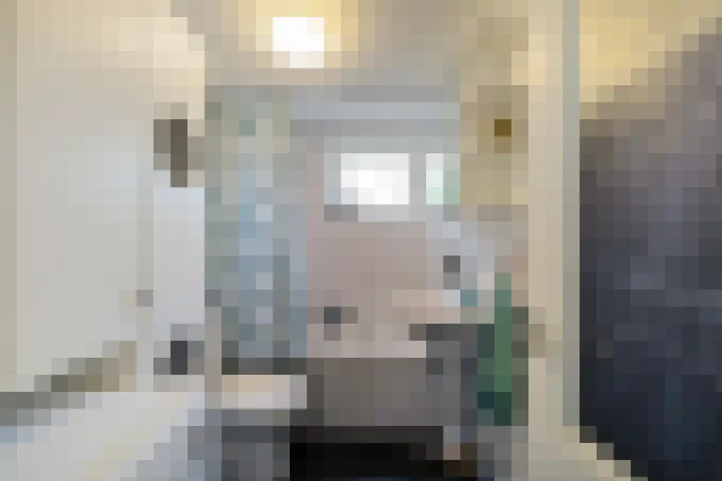 Selwerderstraat 6 Groningen thumbnail 24