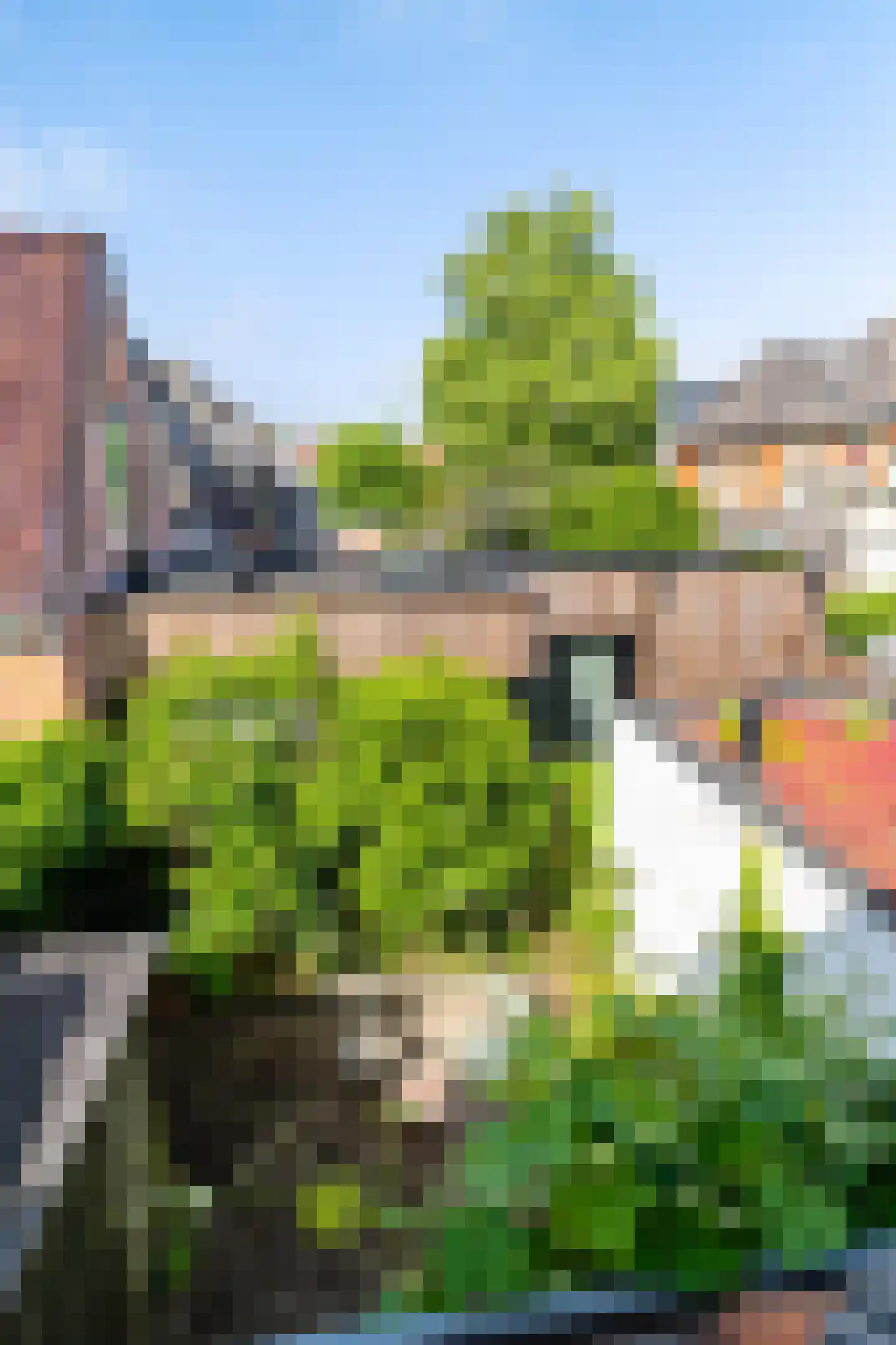 Selwerderstraat 6 Groningen thumbnail 33