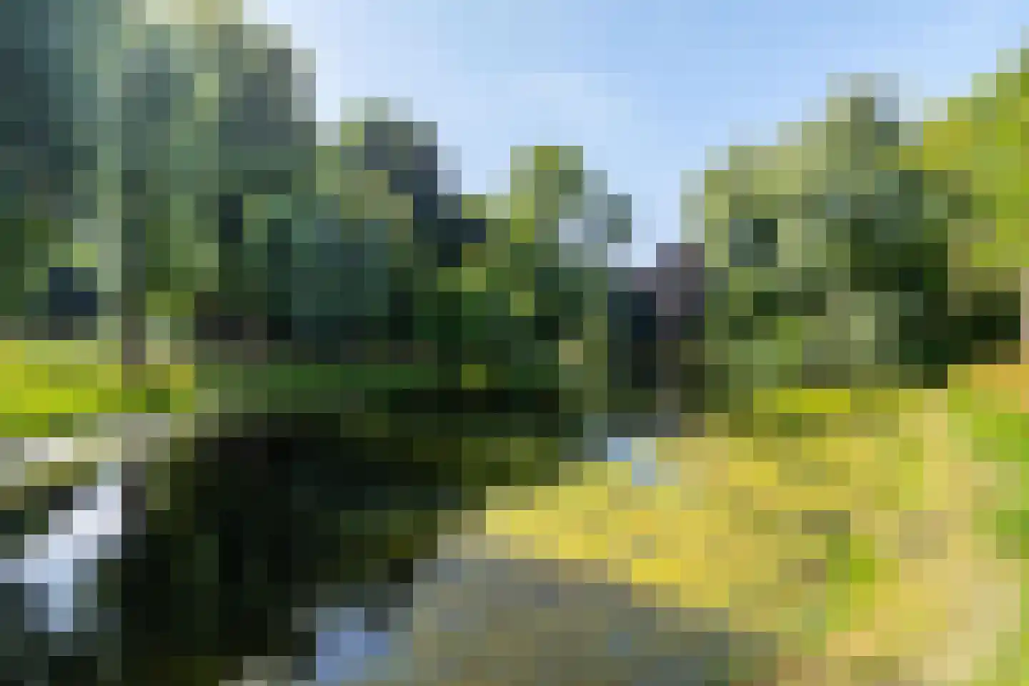Selwerderstraat 6 Groningen thumbnail 38