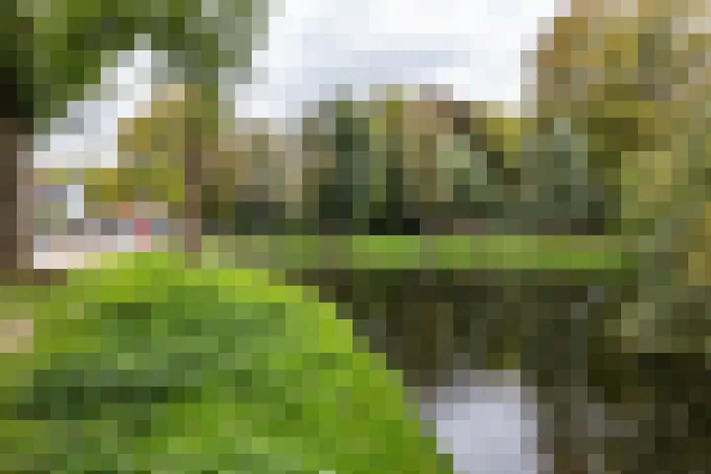 Selwerderstraat 7 Groningen thumbnail 10