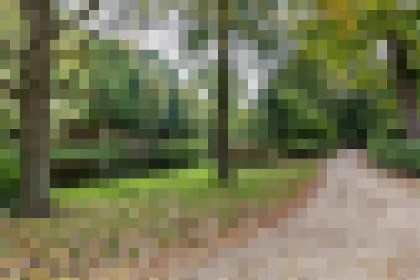 Selwerderstraat 7 Groningen thumbnail 11