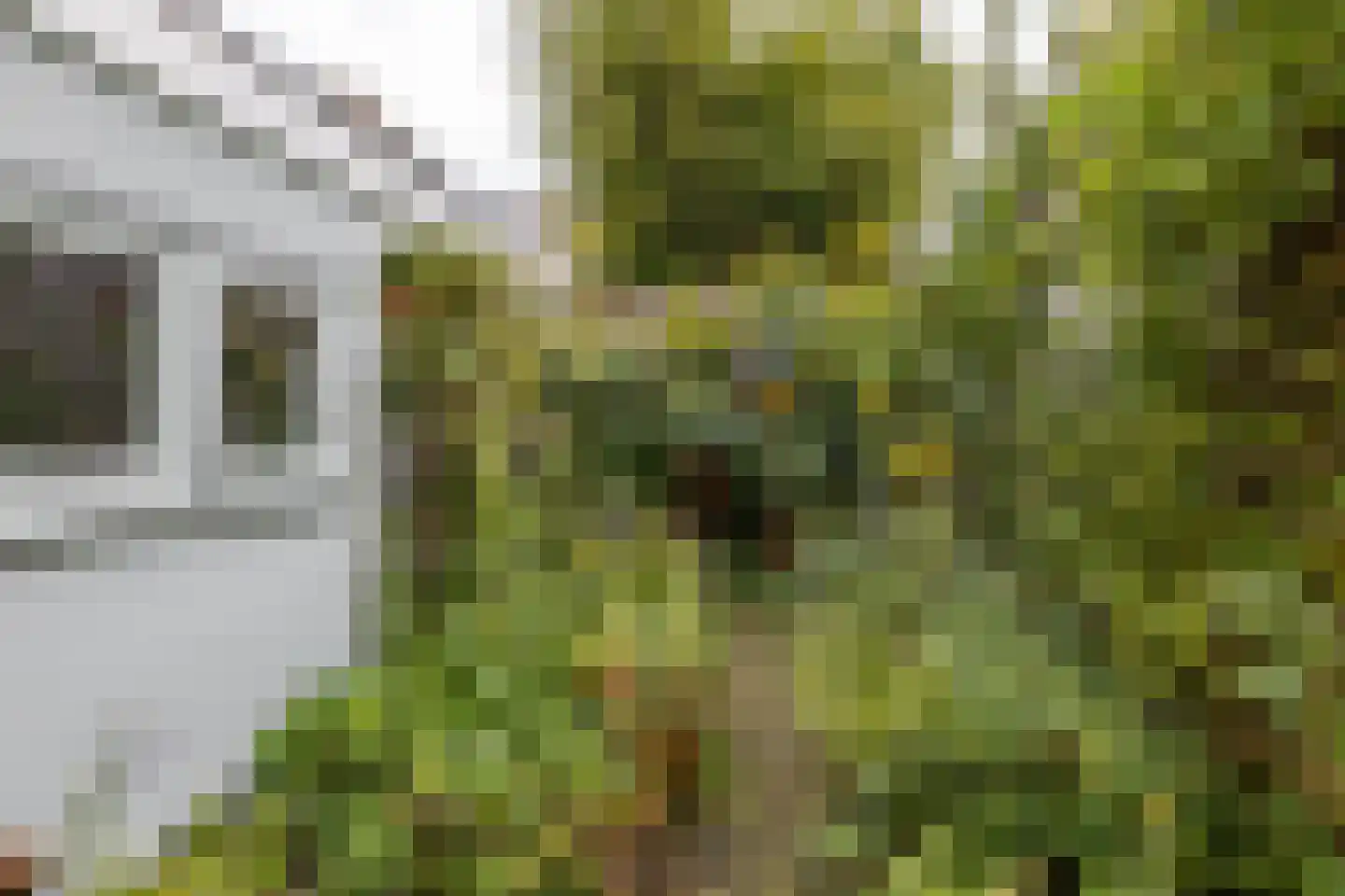 Selwerderstraat 7 Groningen thumbnail 31
