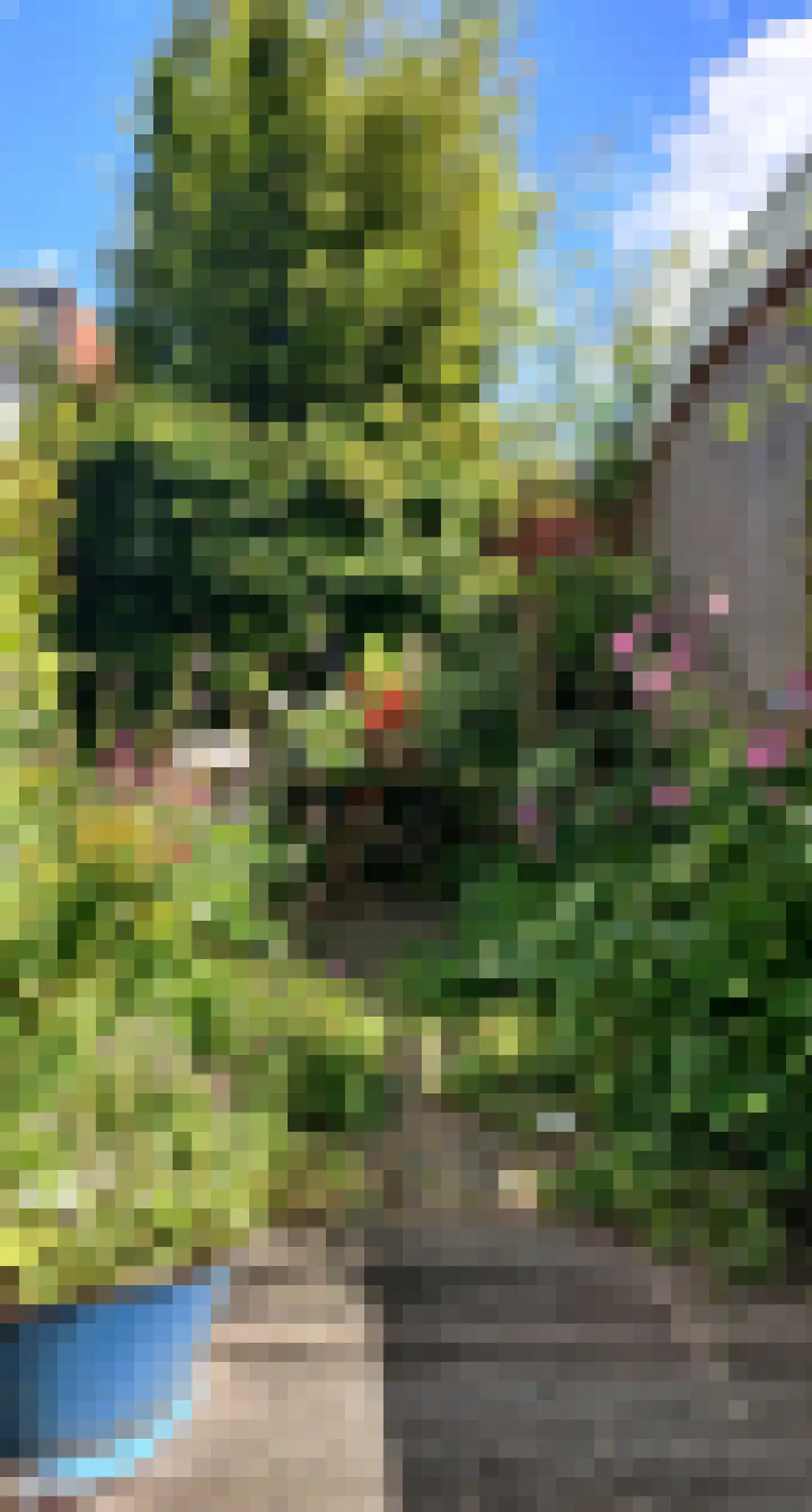 Selwerderstraat 7 Groningen thumbnail 33