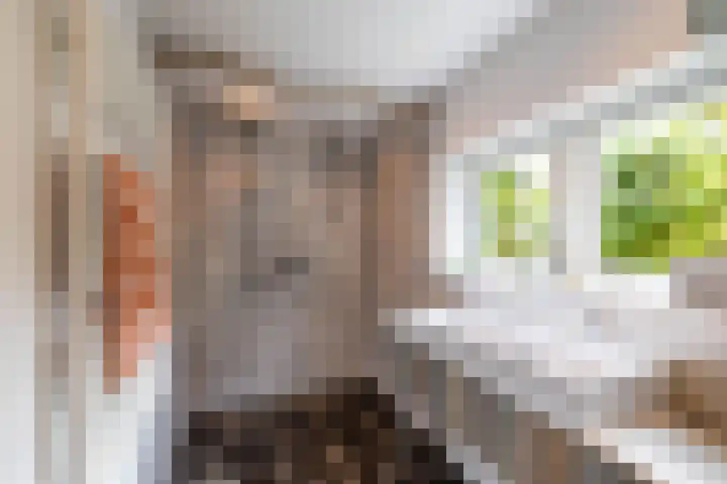Selwerderstraat 7 Groningen thumbnail 35