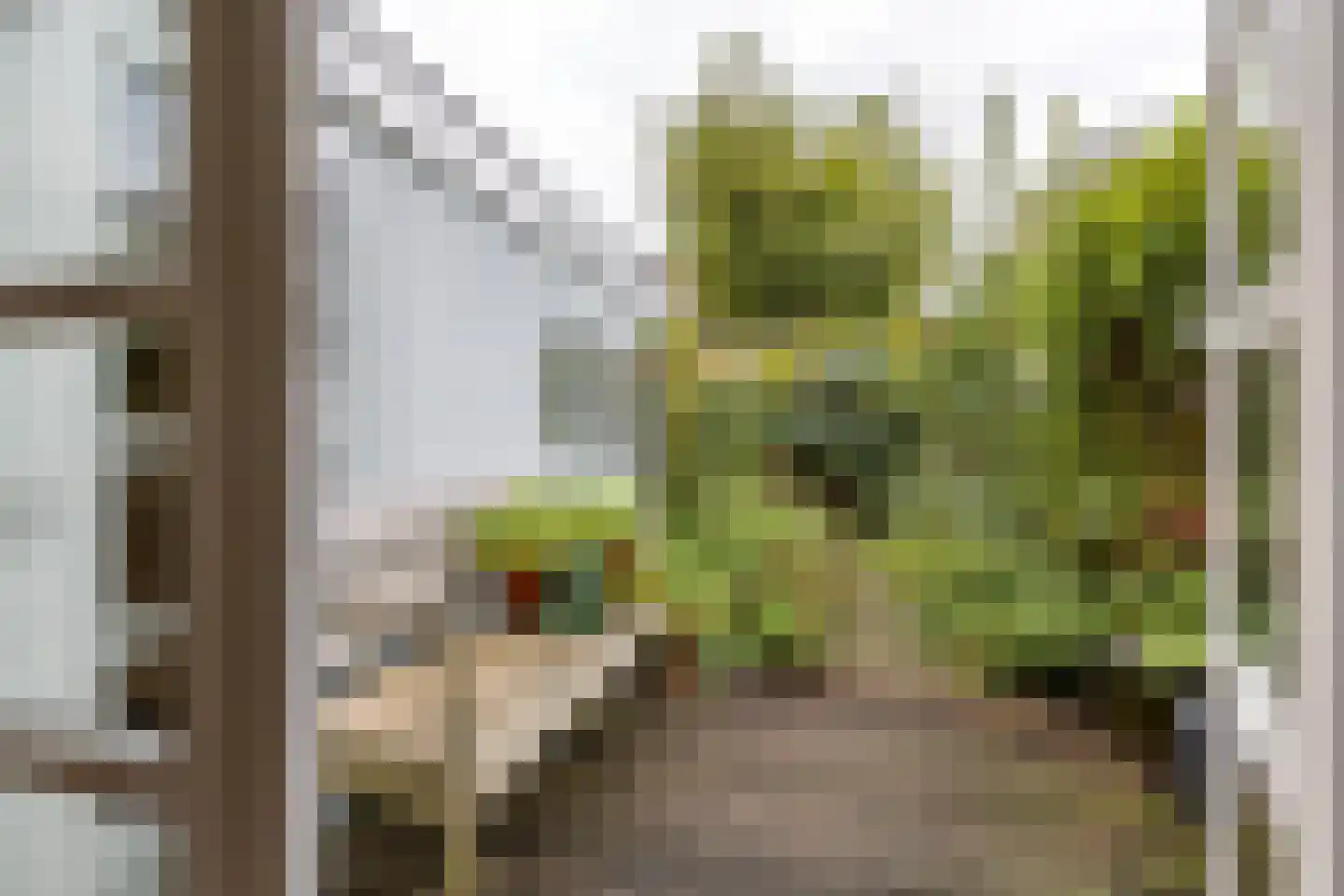 Selwerderstraat 7 Groningen thumbnail 5