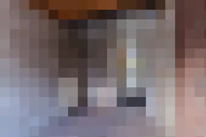Selzerbeek 1 Zaandam thumbnail 10