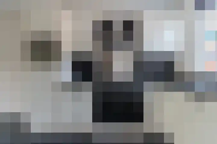 Selzerbeek 1 Zaandam thumbnail 12