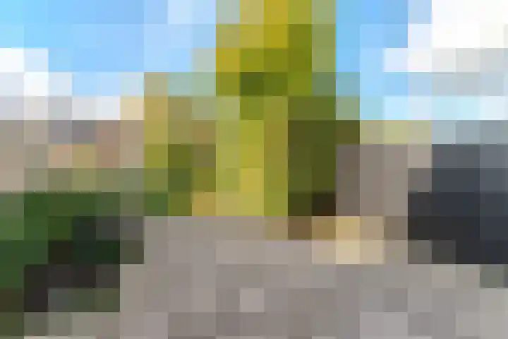Selzerbeek 1 Zaandam thumbnail 17
