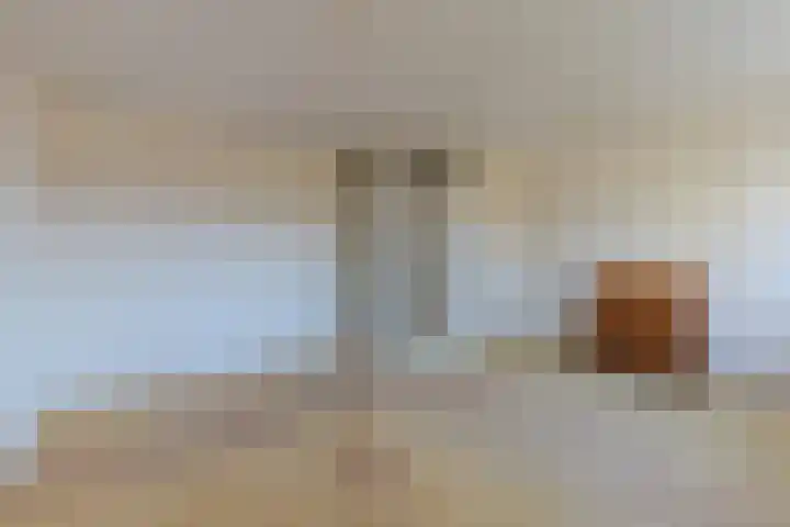 Selzerbeek 1 Zaandam thumbnail 19
