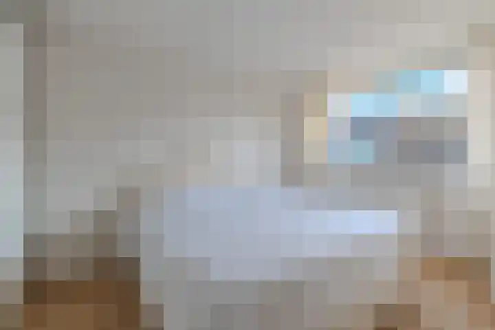 Selzerbeek 1 Zaandam thumbnail 21