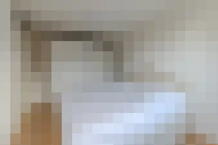 Selzerbeek 1 Zaandam thumbnail 22