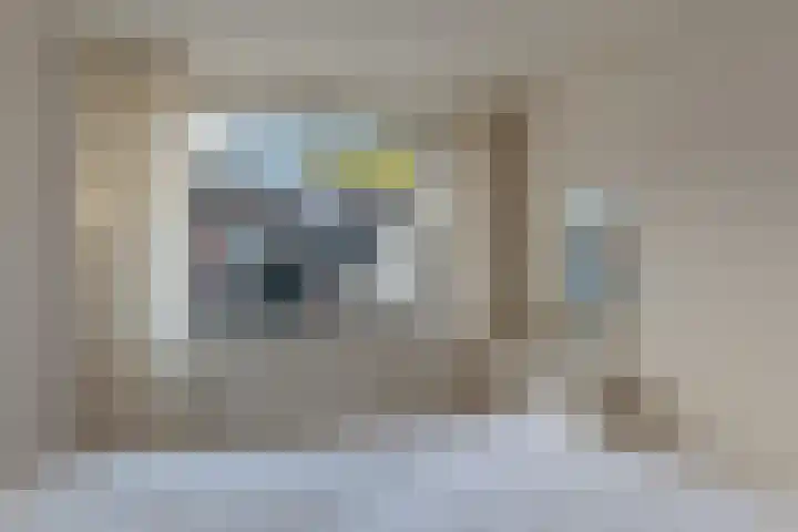 Selzerbeek 1 Zaandam thumbnail 23
