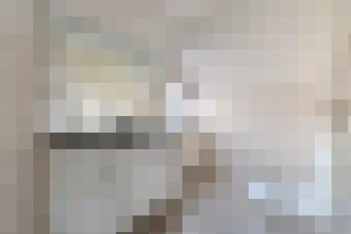 Selzerbeek 1 Zaandam thumbnail 25