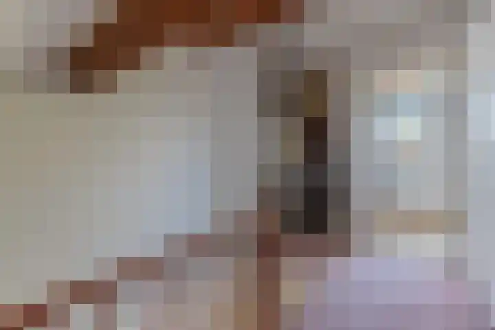 Selzerbeek 1 Zaandam thumbnail 27
