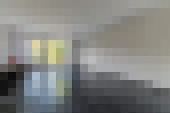 Selzerbeek 1 Zaandam thumbnail 4