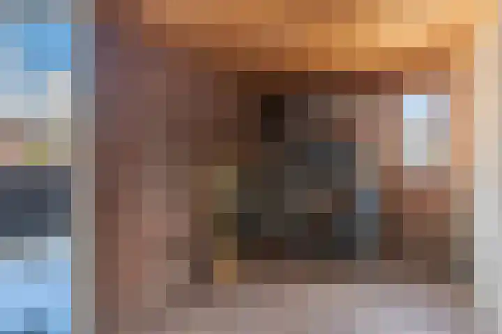 Selzerbeek 1 Zaandam thumbnail 9