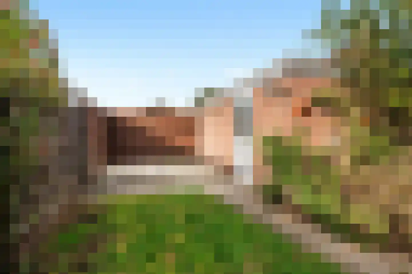 Sem Dresdenlaan 1 Dieren thumbnail 18