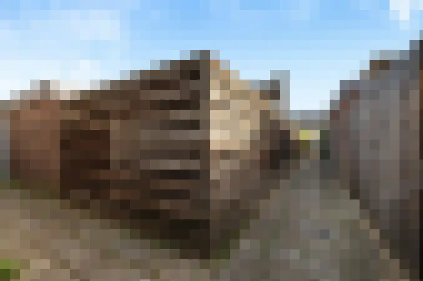 Sem Dresdenlaan 1 Dieren thumbnail 20