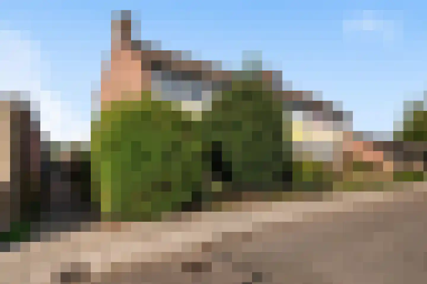 Sem Dresdenlaan 1 Dieren thumbnail 21