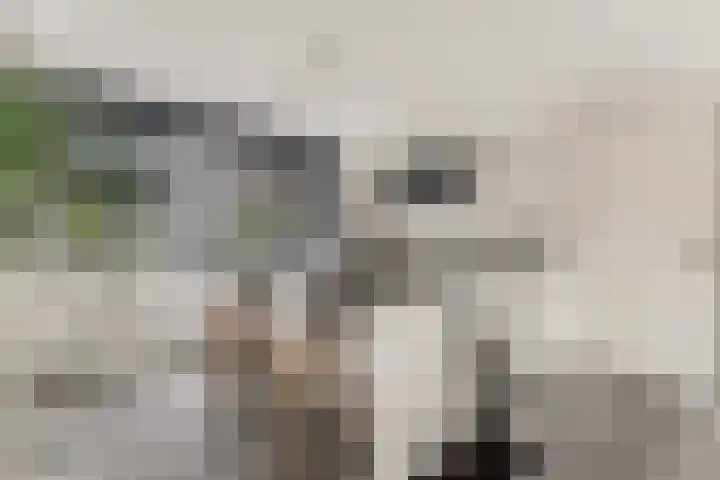 Sem Dresdenlaan 1 Hoofddorp thumbnail 11
