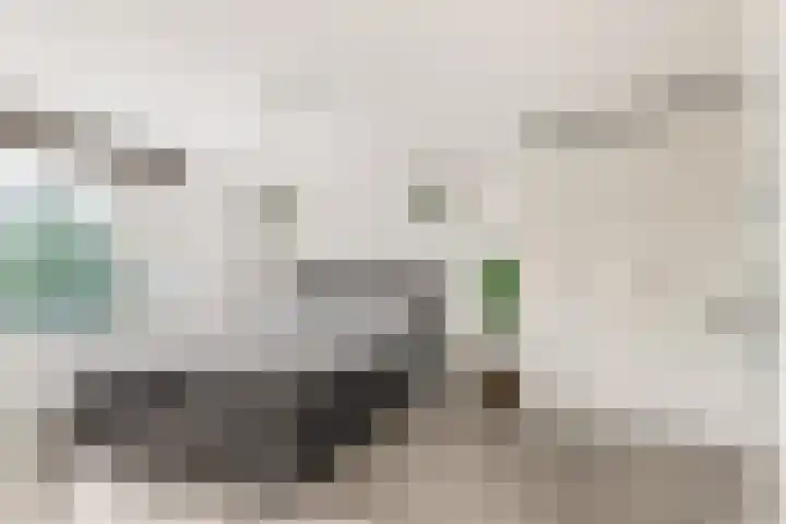 Sem Dresdenlaan 1 Hoofddorp thumbnail 27