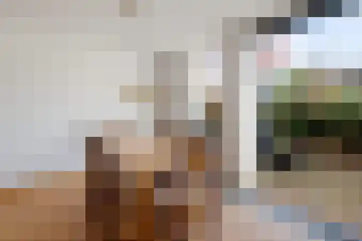 Sem Dresdenlaan 34 Hoofddorp thumbnail 11