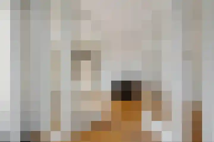 Sem Dresdenlaan 34 Hoofddorp thumbnail 12