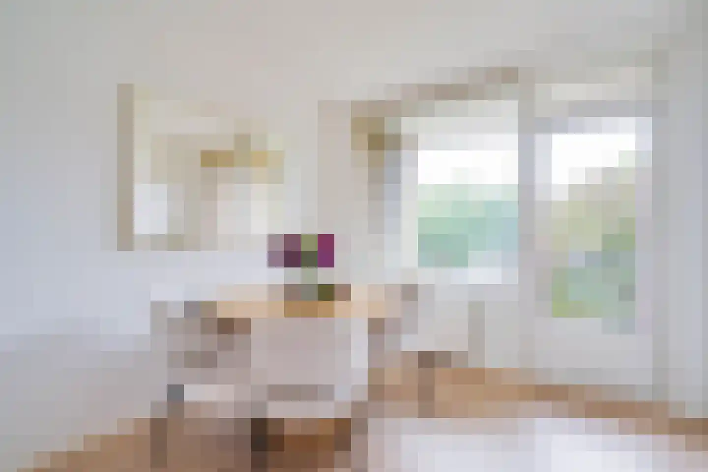 Sem Dresdenplein 117 Schiedam thumbnail 16