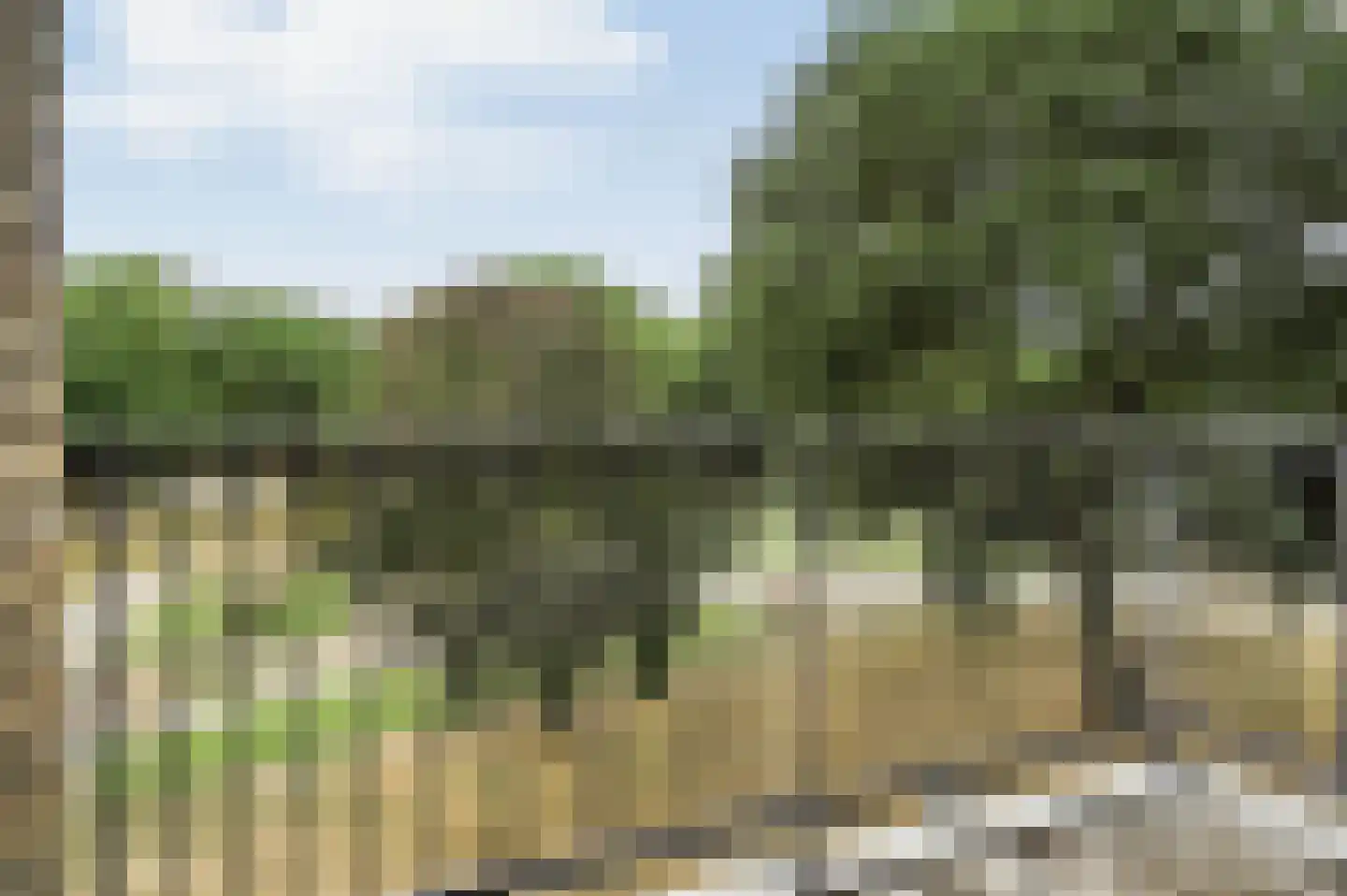 Sem Dresdenplein 117 Schiedam thumbnail 19