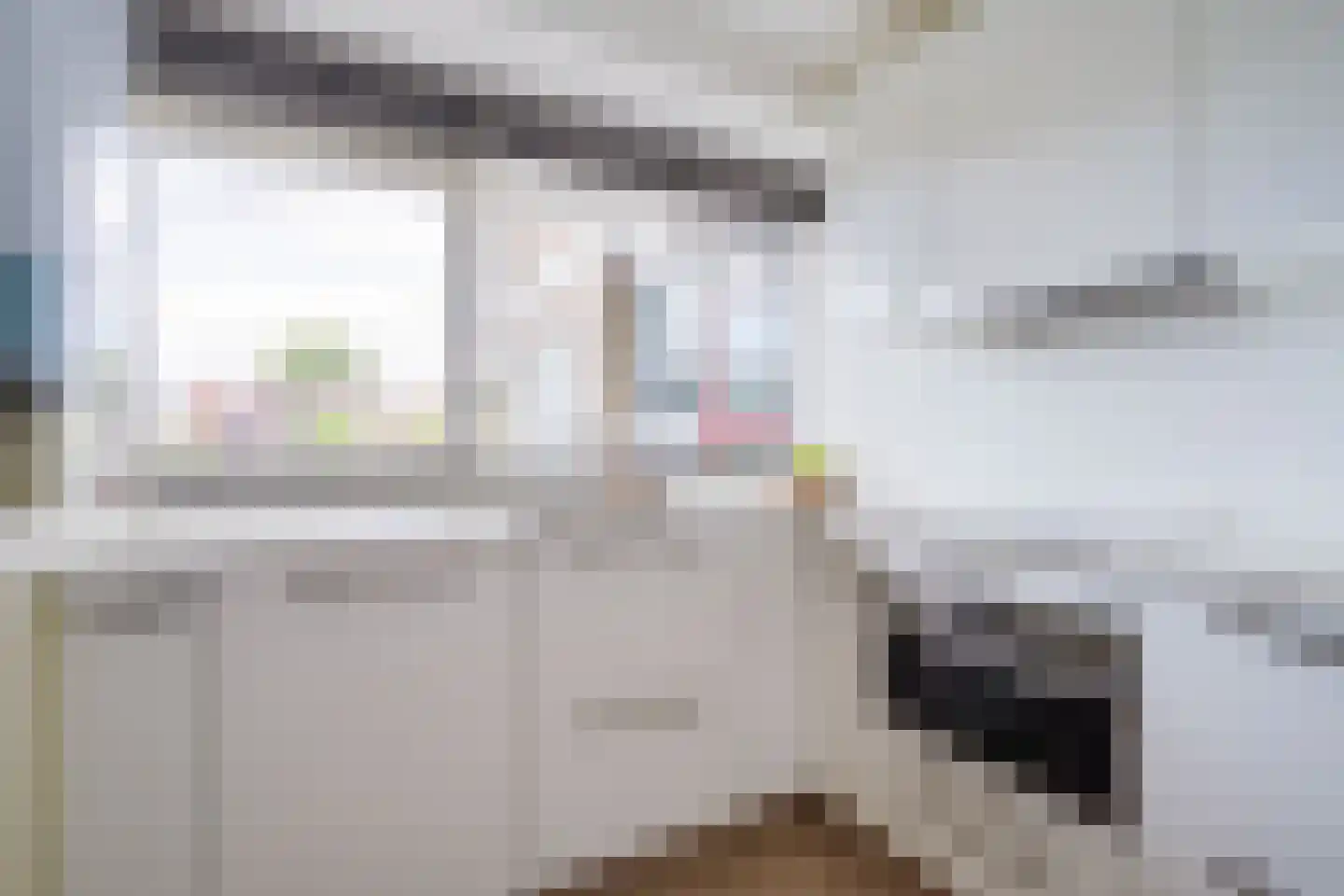 Sem Dresdenplein 117 Schiedam thumbnail 22