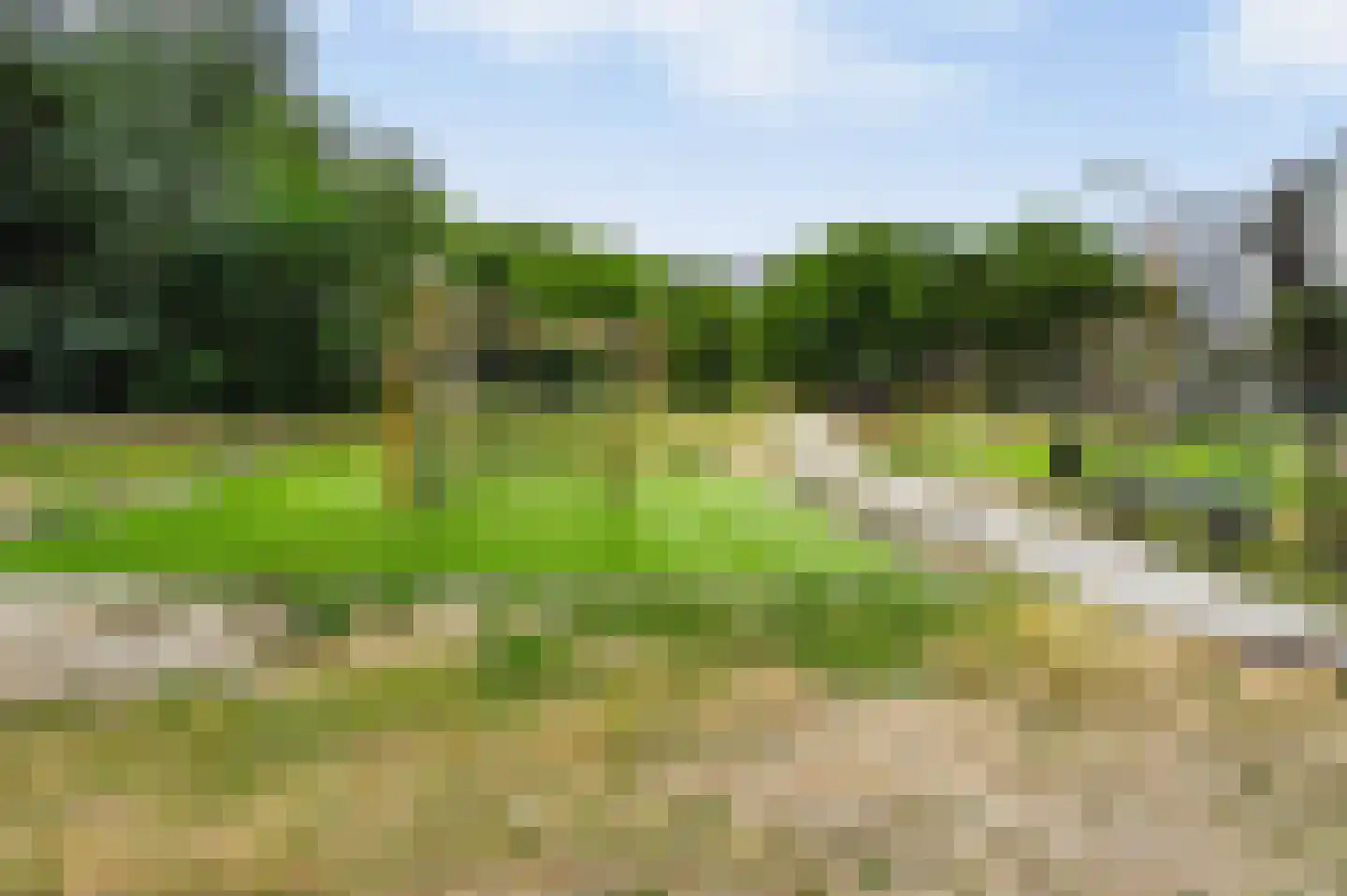 Sem Dresdenplein 117 Schiedam thumbnail 40