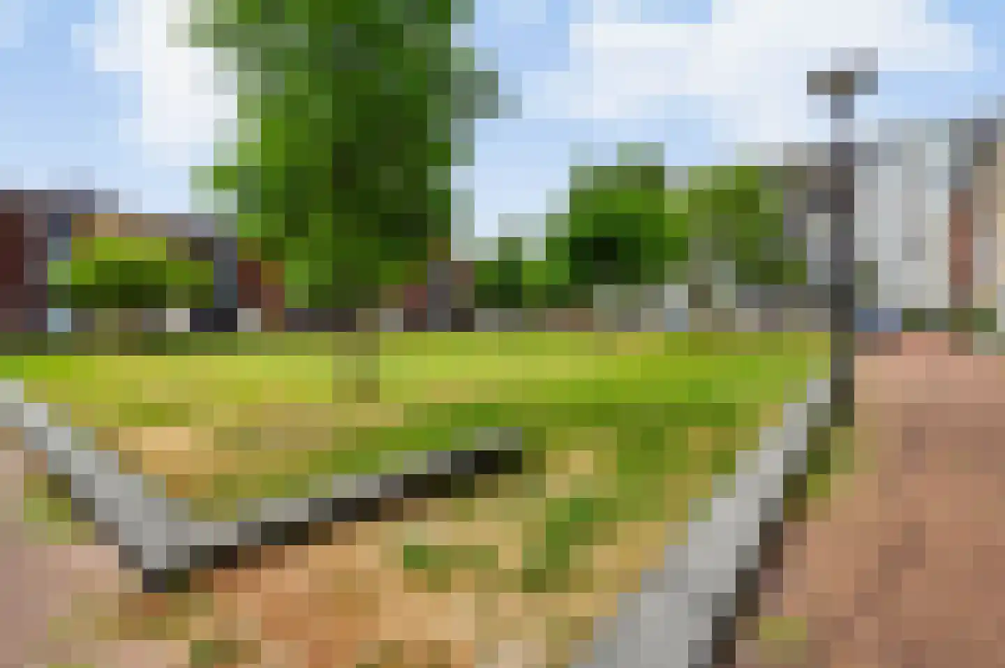 Sem Dresdenplein 117 Schiedam thumbnail 41