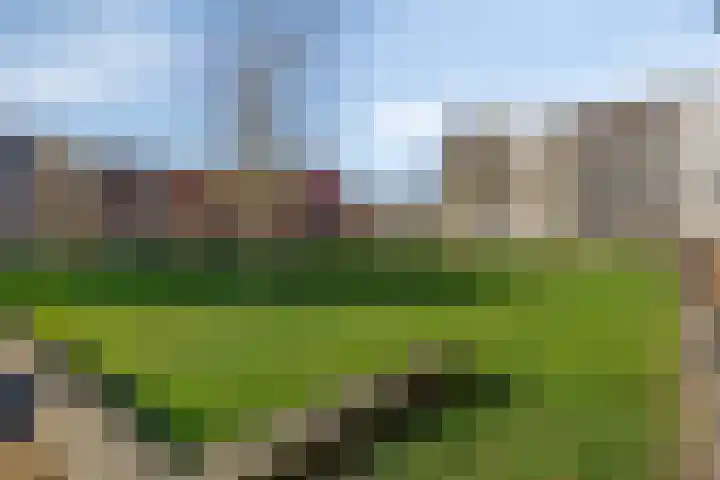 Sem Dresdenplein 119 Schiedam thumbnail 15