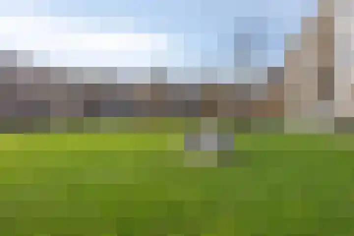 Sem Dresdenplein 119 Schiedam thumbnail 16