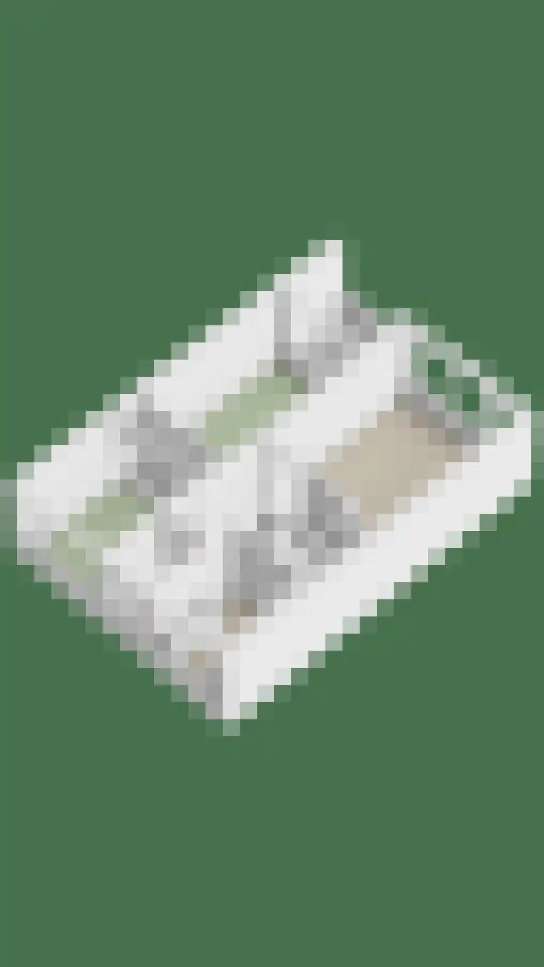 Sem Dresdenplein 119 Schiedam thumbnail 19