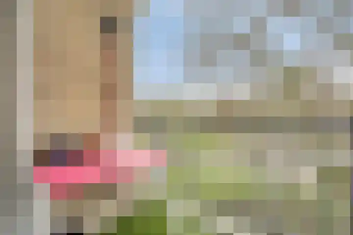 Sem Dresdenplein 119 Schiedam thumbnail 5