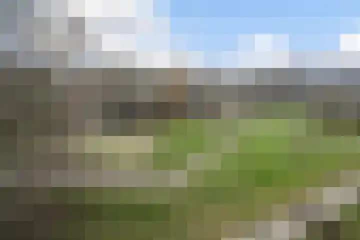 Sem Dresdenplein 133 Schiedam thumbnail 30
