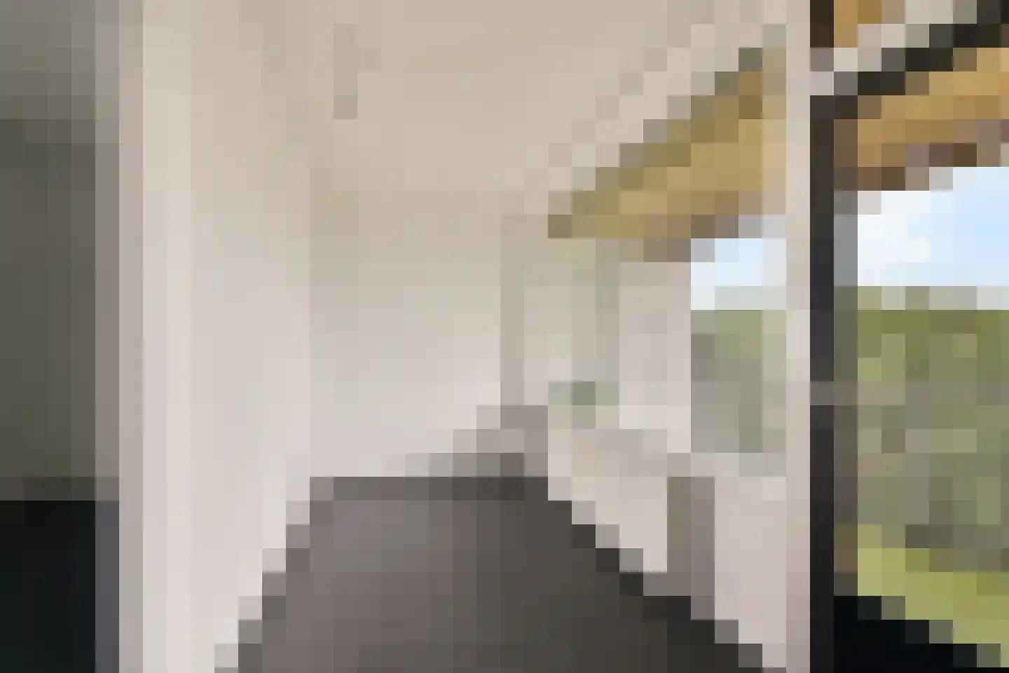 Sem Dresdenplein 145 Schiedam thumbnail 17