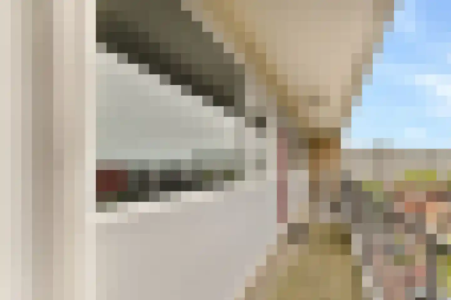 Sem Dresdenplein 145 Schiedam thumbnail 23