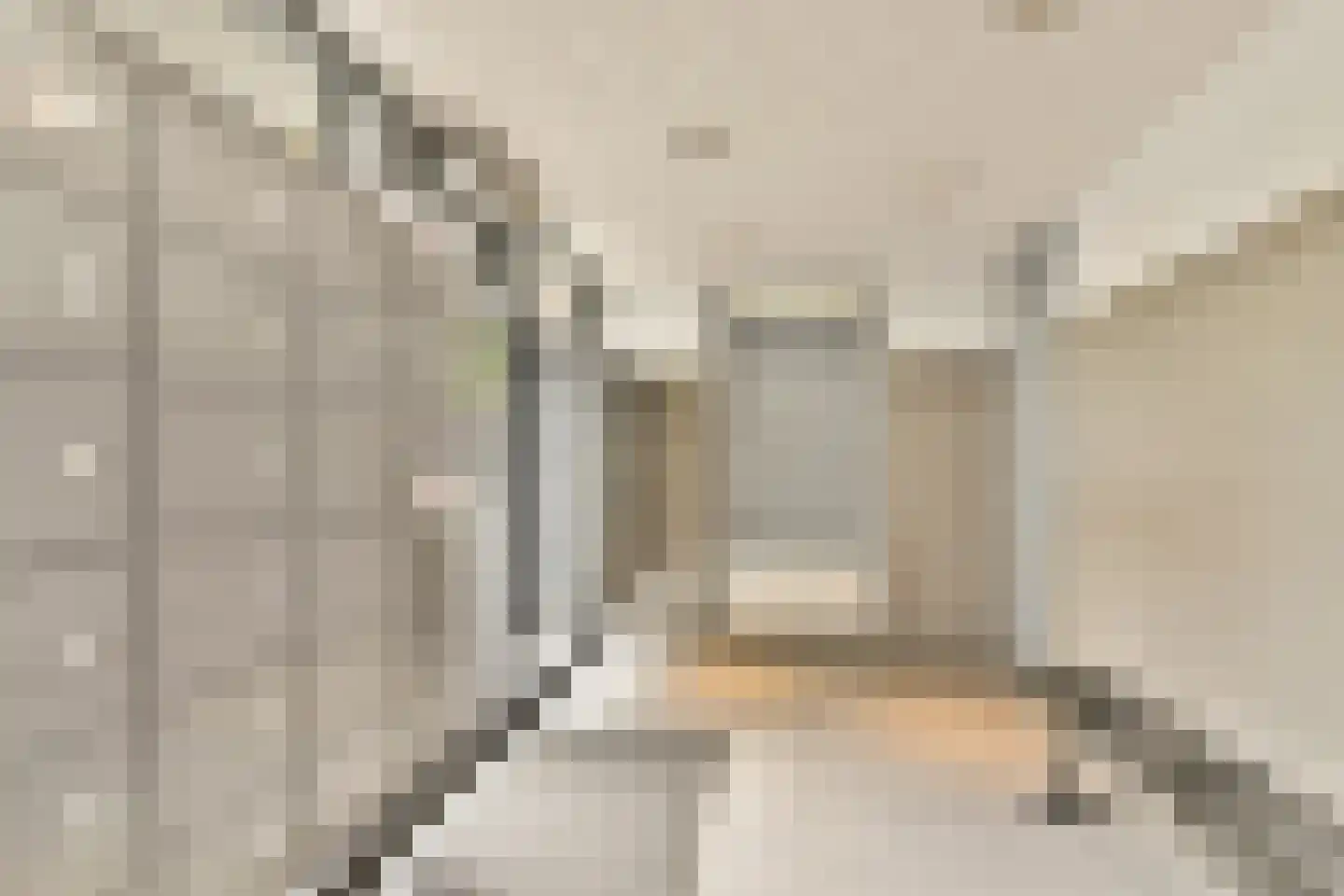 Sem Dresdenplein 145 Schiedam thumbnail 24