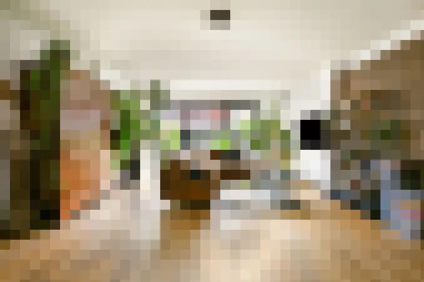Sem Dresdenplein 162 Schiedam thumbnail 13
