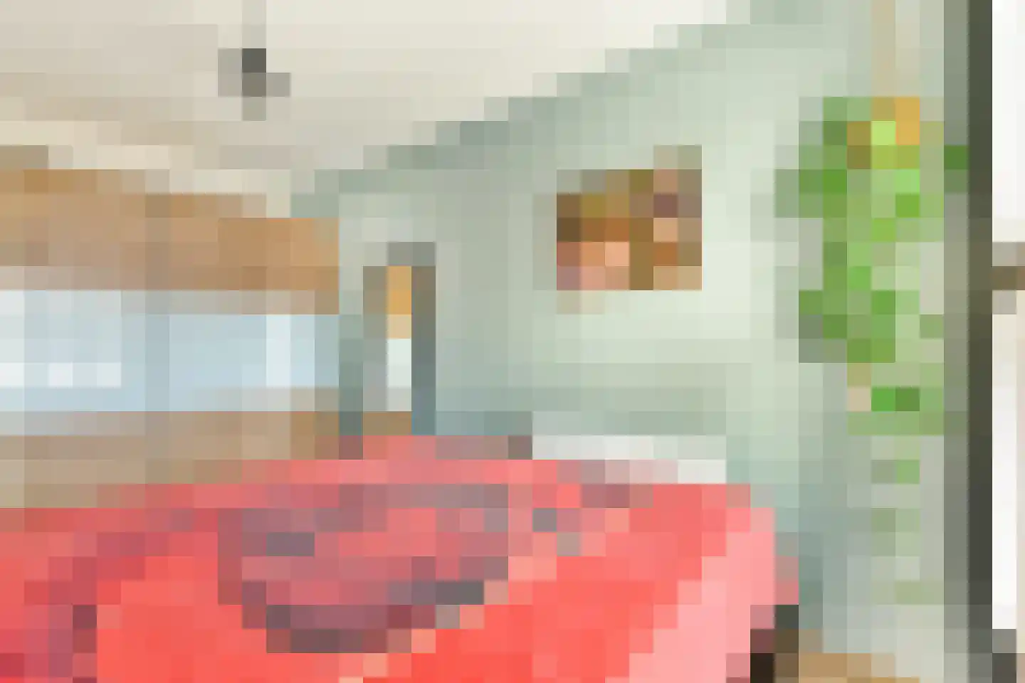 Sem Dresdenplein 162 Schiedam thumbnail 17