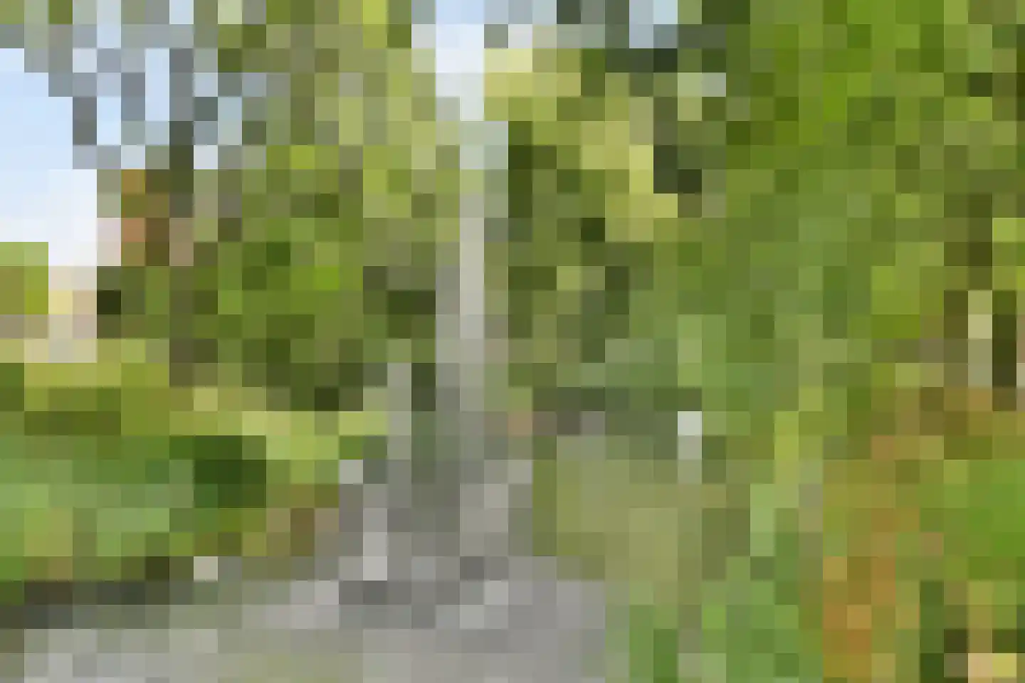 Sem Dresdenplein 162 Schiedam thumbnail 31