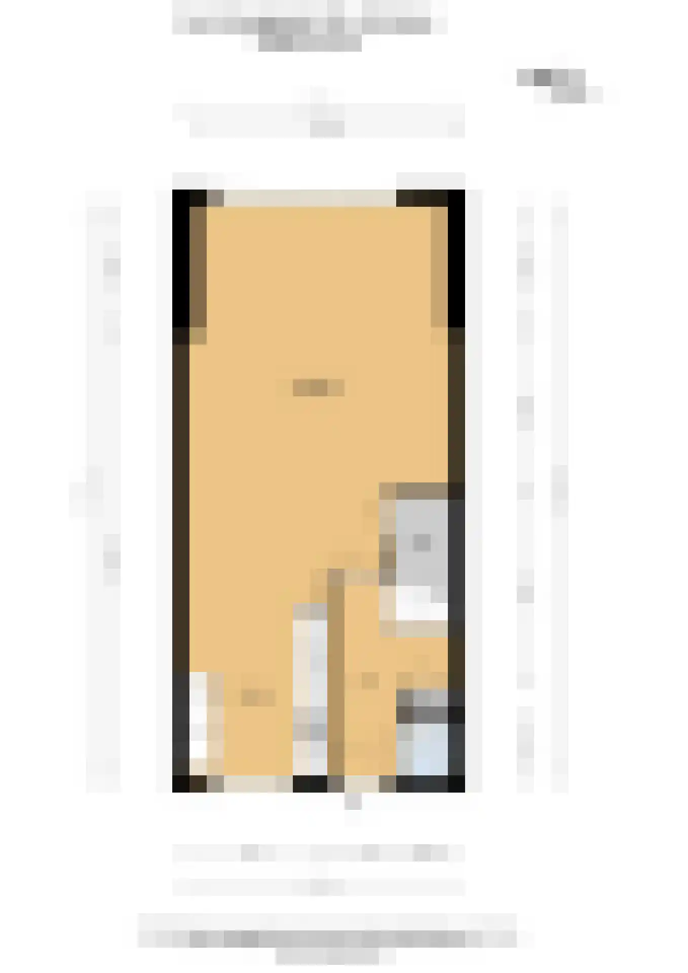 Sem Dresdenplein 162 Schiedam thumbnail 34