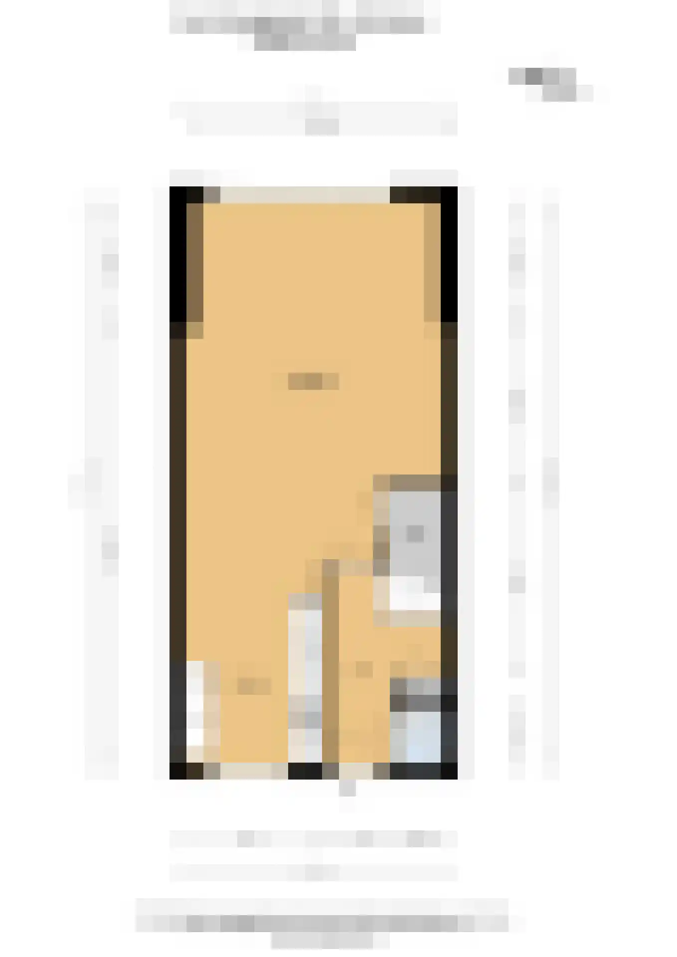 Sem Dresdenplein 162 Schiedam thumbnail 35