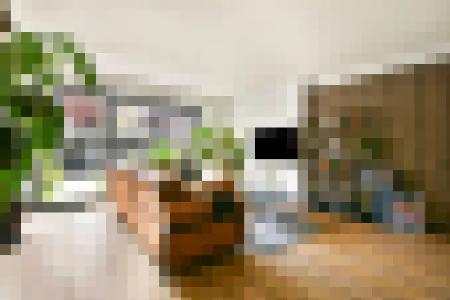 Sem Dresdenplein 162 Schiedam thumbnail 4